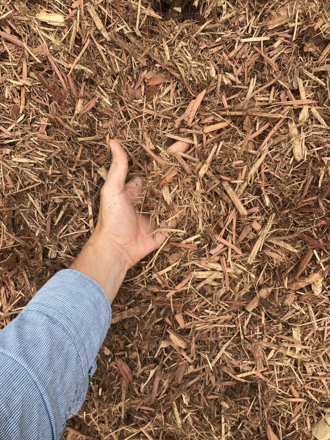 Aromatic Red Cedar Mulch